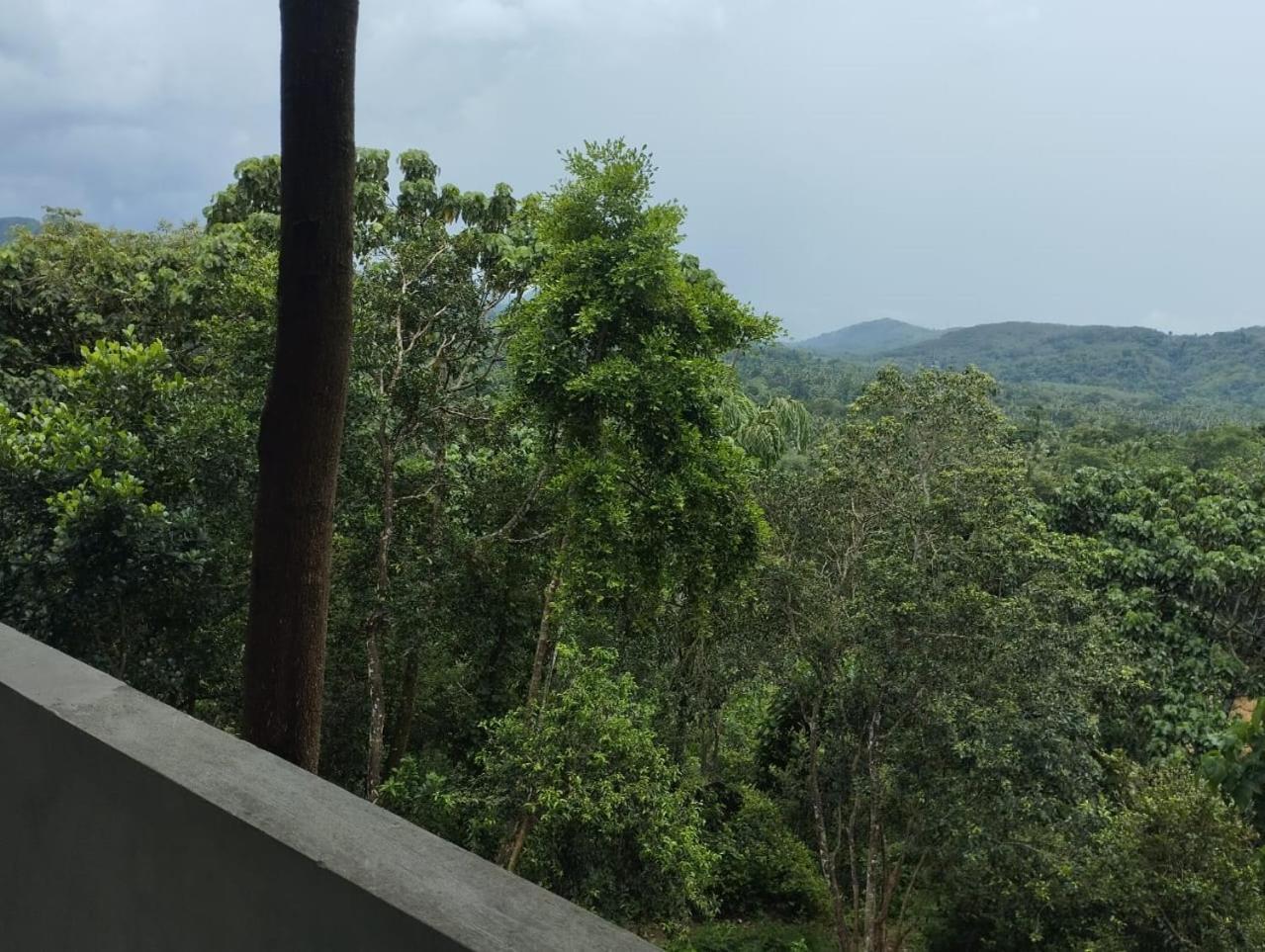 Bogala Village Eco Resort 케골 외부 사진